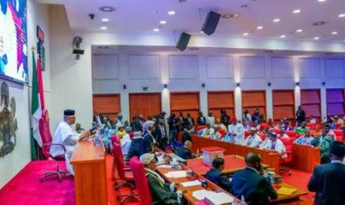 Senate Approves Establishment of Federal University of Technology and Environmental Sciences in Iyin-Ekiti, Ekiti State