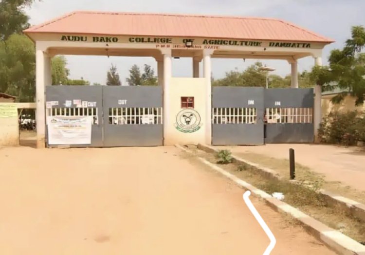 Audu Bako College of Agriculture (ABCOAD) Diploma Admission Form 2023/2024