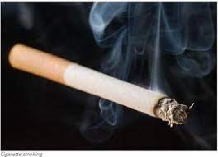 WHO Urges Global Action to Protect Young People: Ban Smoking and Vaping in Schools"