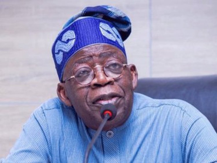Allegations of Forgery and Gender Misrepresentation: Examining the CSU Certificate Presented by Bola Tinubu