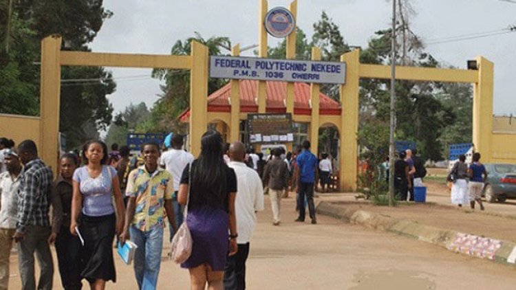 Federal Polytechnic Nekede Unveils 2023/2024 ND Evening Admission List -  Myschoolnews