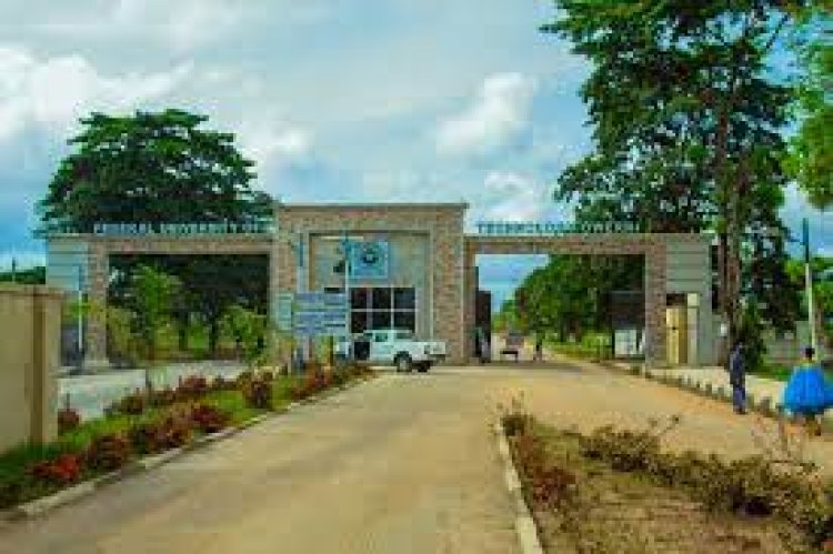 Courses offered at Federal University of Technology, Owerri (FUTO)