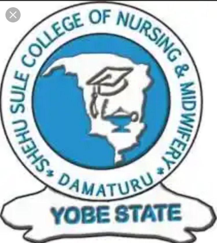 Shehu Sule College of Nursing, Damaturu application for Post UTME screening & interview, 2023/2024