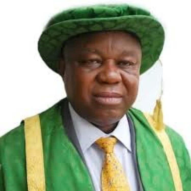 Prof. Charles Arizechukwu Igwe: A Visionary Leader at the Helm of the University of Nigeria, Nsukka