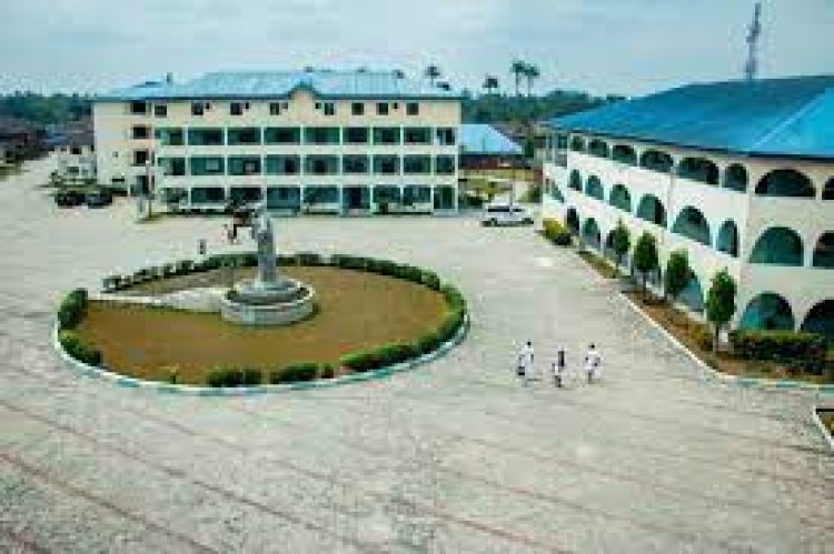 Madonna University, Nigeria: Pioneers of Quality Catholic Education