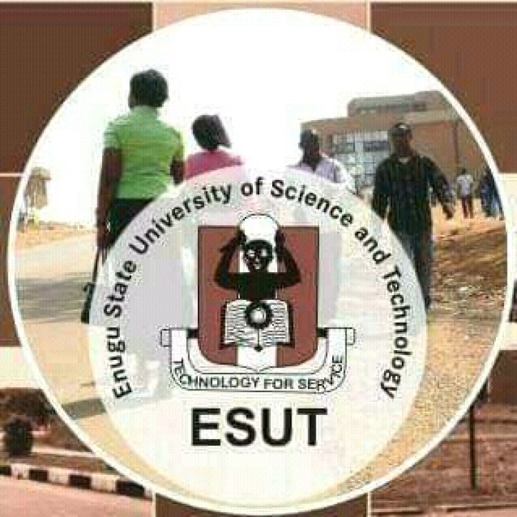 ESUT Vice Chancellor's Commitment to Return the University to Global Recognition