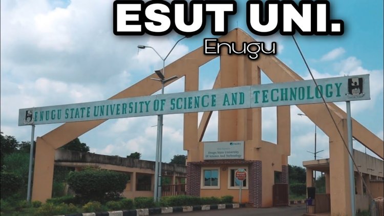 ESUT Makes Professional Membership Compulsory for Academic Staff