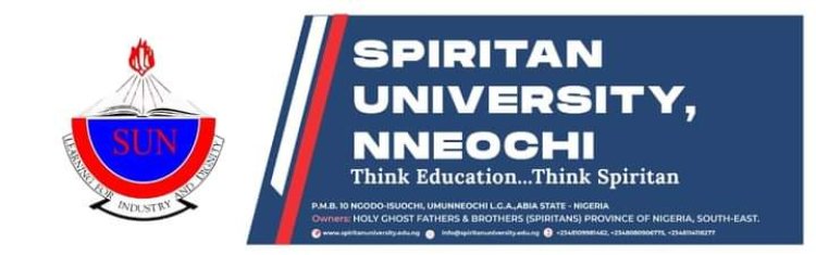 Rev. Prof. Remy N. Onyewuenyi Assumes Role of Vice-Chancellor at Spiritan University Nneochi