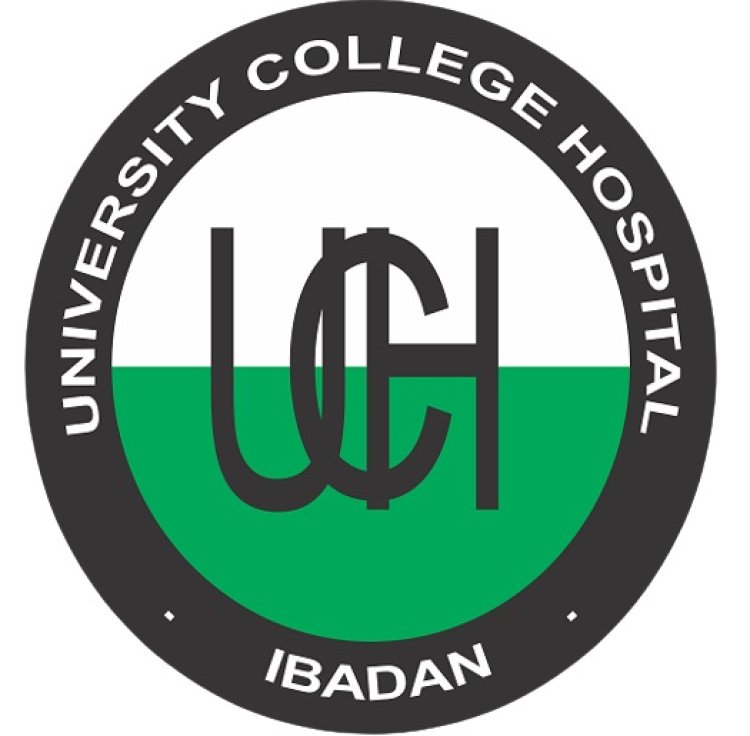 UNIVERSITY COLLEGE HOSPITAL, IBADAN Concludes Application Process for 2023/2024 Session, Issues Important Guidelines