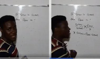 Mathematician Breaks Internet As He Uses Maths Formula To Answer English Question