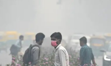 India Shuts Schools as Toxic Smog Engulfs Capital