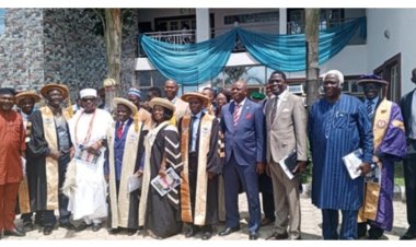 Dominion University's Top Graduates Share How They Achieved First-Class Honors