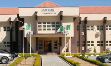 Katsina State Government Reports No Contact from Kidnappers of Federal University Dutsin-Ma Students