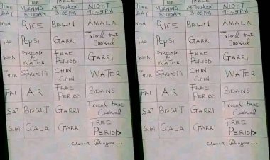 Food Timetable Reveals Hardships: 'Friend That Cooked,' 'Air,' 'Water', and 'Free Period' Spark Reactions Among Nigerian Students