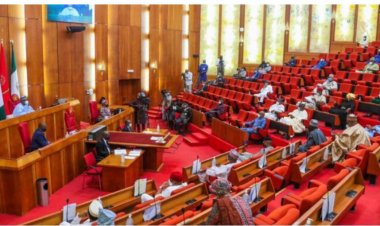 Senate Initiates Probe into Alleged Admission Racketeering in Universities