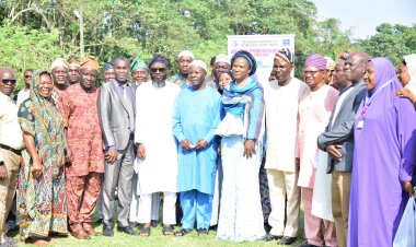 Graduates Urged to Apply Knowledge in Commemoration of FUTA's 33rd Convocation Ceremony