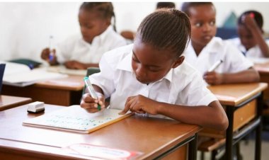 Education Expert Advocates Prioritizing Quality Education Delivery Over Free Education