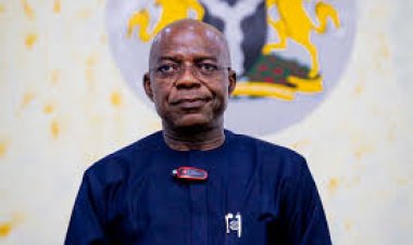 Abia State Launches In-School Deworming Program for 60,000 Pupils