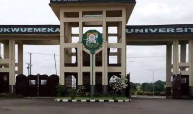 Chukwuemeka Odumegwu Ojukwu University's Department of Vocational Education Celebrates Milestone with the Graduation of its First Ph.D. Candidate in Business Education