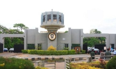 UIMGA to Honour Distinguished Members, Including Vice President Shettima and Governor Zulum, at Homecoming Event