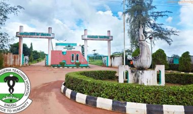 Exploring the Enchanting Learning Environment at the School of Nursing, UNTH