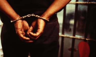 CHILD ABUSE: Shocking Child Molestation Case Unearthed at Tenderlink School in Enugu