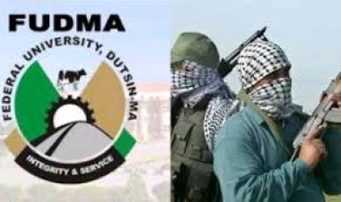 Terrorists Release Kidnapped Female Student of Federal University Dutsin-Ma After 45 Days