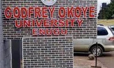 Grave Concerns: Godfrey Okoye University Vice Chancellor Warns of Mass Burial Deadline for Neglected Corpses