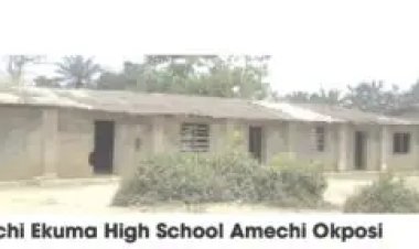 Ebonyi State Takes Lead in Southern Nigeria with 3,000 Teacher-Gap and Highest Number of Out-of-School Children