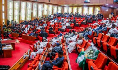 Legislative Push for 32 New Federal Universities Amid ASUU Demands Sparks Concerns