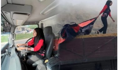 University Graduate Takes the Wheel as a Lorry Driver, Defies Conventional Career Path