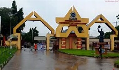 Michael Okpara University of Agriculture Umudike Celebrates 11th Convocation with Record-Breaking 8,369 Graduates