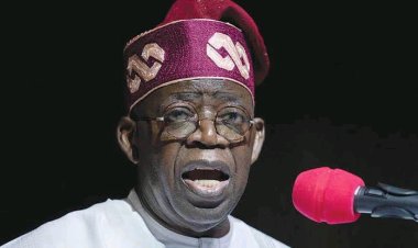 President Tinubu Announces Commencement of Student Loan Program in January 2024 in Budget Presentation