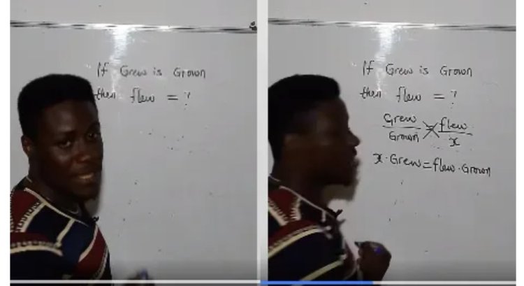 Mathematician Breaks Internet As He Uses Maths Formula To Answer English Question