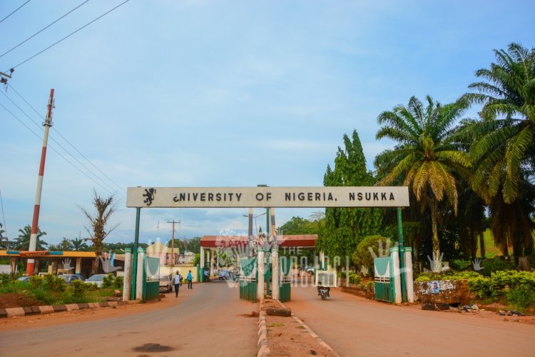 UNN Graduate Arrested for Alleged Theft and Fraud within the Campus