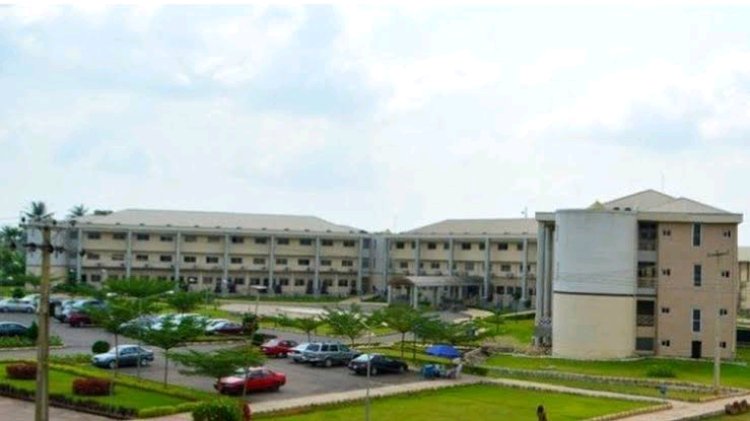 2023 Admission: List of Courses in Buhari's Federal University of Transportation on JAMB