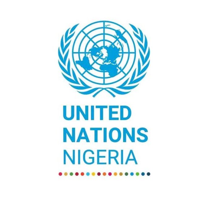 IFE Model United Nations Sparks Engaging Discussions on Youth, Peace, and Security