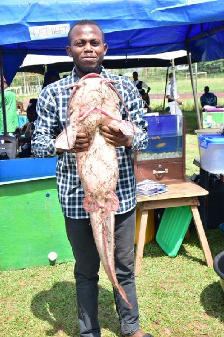 FUTA's Department of Fisheries and Aquaculture Technology Achieves Breakthrough with Cultivation of Giant African Catfish