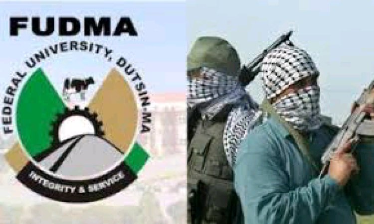 Terrorists Release Kidnapped Female Student of Federal University Dutsin-Ma After 45 Days