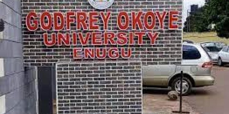 Grave Concerns: Godfrey Okoye University Vice Chancellor Warns of Mass Burial Deadline for Neglected Corpses