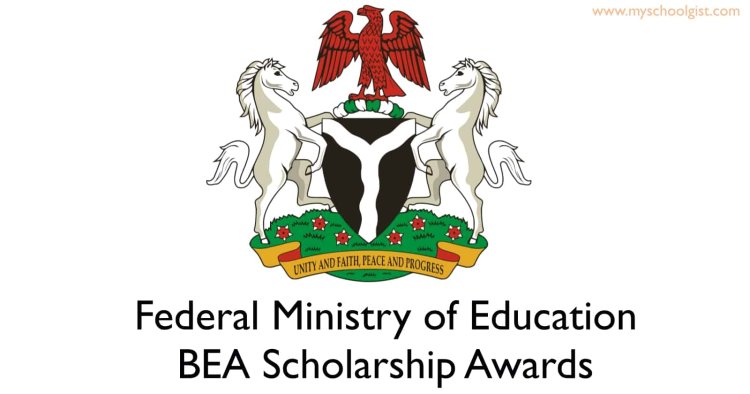 Study Abroad with the FG BEA Scholarship 2024/2025