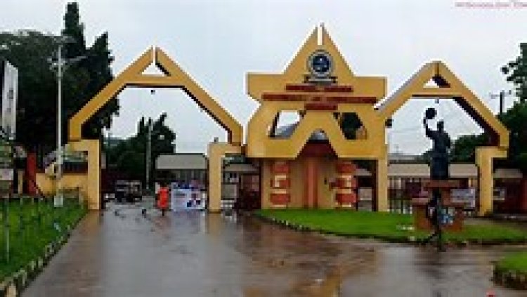 Michael Okpara University of Agriculture Umudike Celebrates 11th Convocation with Record-Breaking 8,369 Graduates