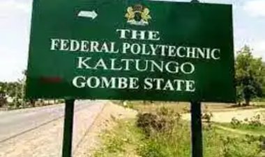 Federal Polytechnic Kaltungo Releases Admission List, 2023/2024