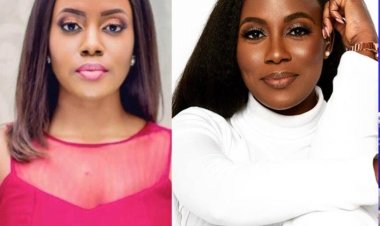 Trailblazing Journey: The First Black Woman to Earn a Ph.D. in Aerospace Engineering from the University of Texas and Make NASA History