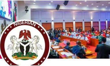 Senators Express Concerns Over Funding Allocations in 2024 Budget