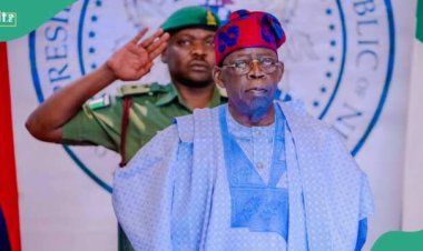 Is N50 Billion Enough for Student Loan Scheme? Economist Speaks