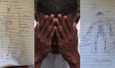 University Students’ Assignment with Funny Skeleton Drawings Sparks Reaction