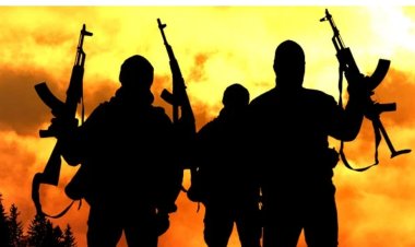 Robbers attack students’ hostel, kill one, injure nine in Ogun school