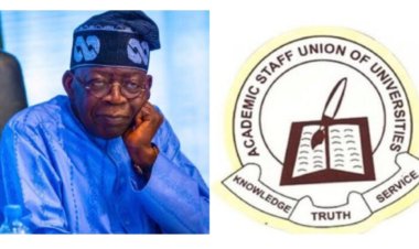 ASUU Rejects Federal Government's Student Loan Scheme, Advocates for Grants