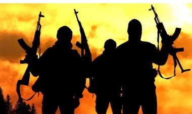 Tragedy Strikes as Armed Robbers Fatally Stab 500-Level ATBU Student; Campus Mourns, Protests Ensue